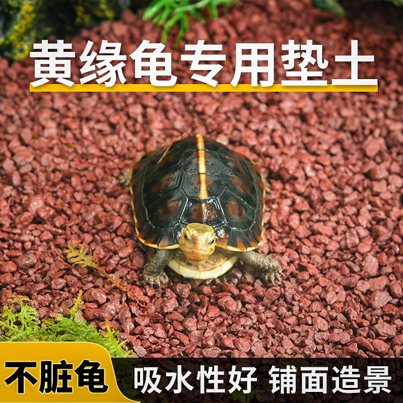 Turtle Huang Yuan An Yuan uses laterite stone to pet tortoise landscaping to decorate the humus soil lizard gecko breeding box mat.