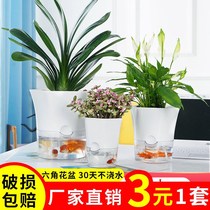 Household transparent plastic water-free lazy flowerpot automatic absorbent potted flower green hydroponic flower pot