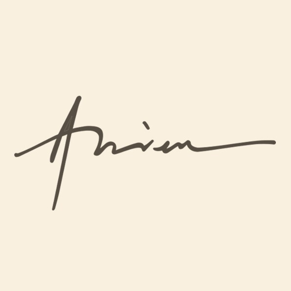 ARIEN艾云里