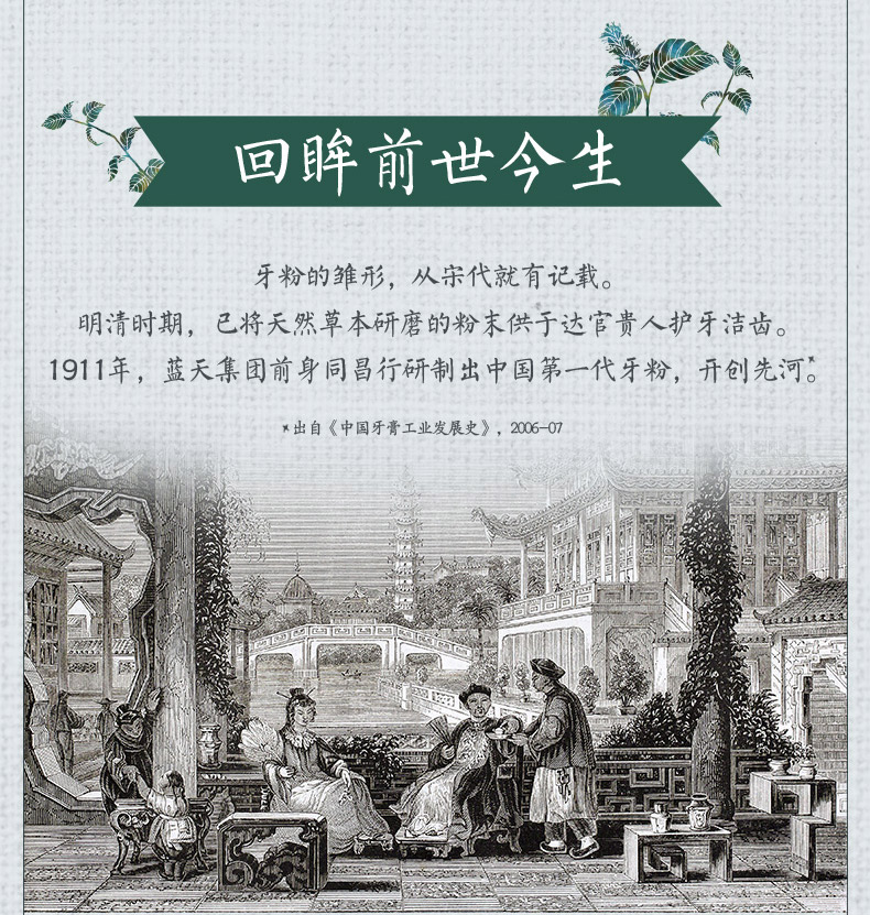 六必治 天然研白牙粉 65g 图3