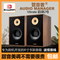 Tuan Yin Zhe 8 pouces hifi fièvre bibliothèque vocale audio de bureau 2 0 haut-parleurs passifs avec amplificateur à tube de fièvre