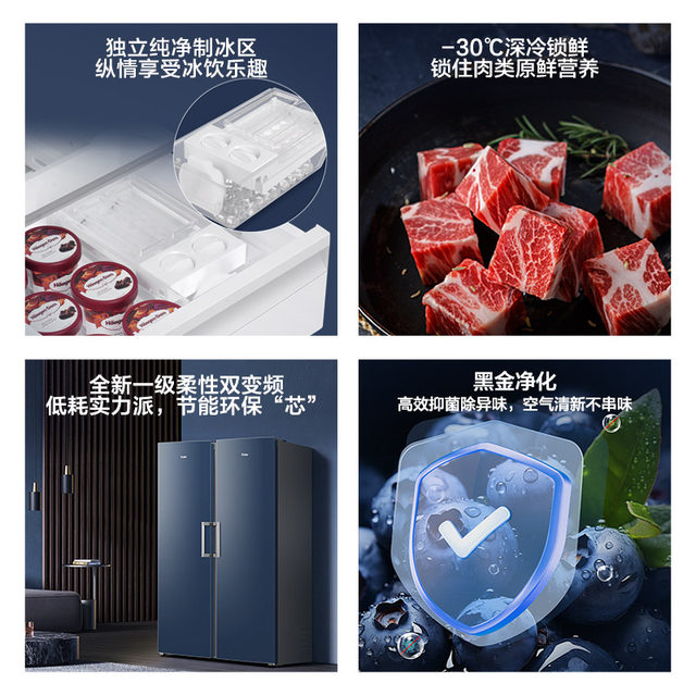 Haier Bd-290Wghegdb9 European Style Air-Cooled Vertical Freezer Refrigerated Freezer Drawer