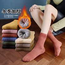 Socks female winter plus heat towel socks lady middle tube socks winter floor hair circle socks