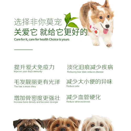 Не -you mo tya dog Grain General Type 5 Catties of Golden Mao Tedi Labrador увы Casmier Natural