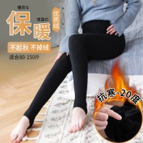 Pregnant women leggings stockings belly support autumn and winter thickened velvet socks Step on the foot with pantyhose warm cotton large size