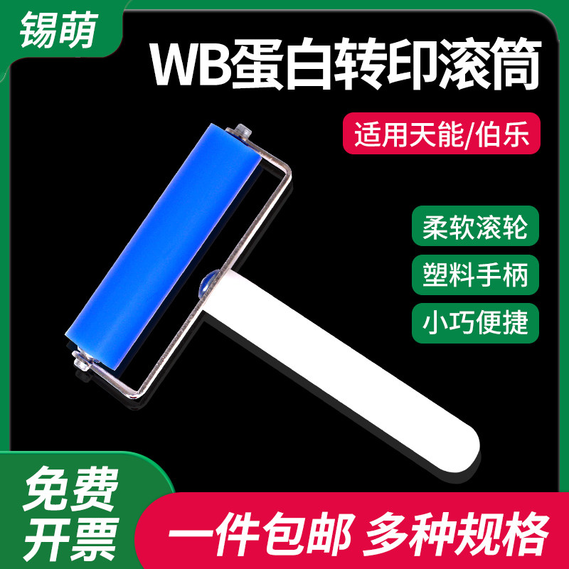 锡萌wb电泳转印转膜滚筒气泡滚滚子 转印槽配件 通用bio-rad伯乐