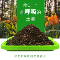 Nutrient soil planting soil general-purpose fleshy flowers vermiculite perlite soil Clivia