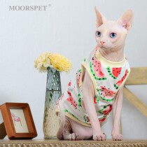 MOMO Sphinx hairless cat clothes Bantam vest Devin Conis Abixia Spring and Autumn light small vest