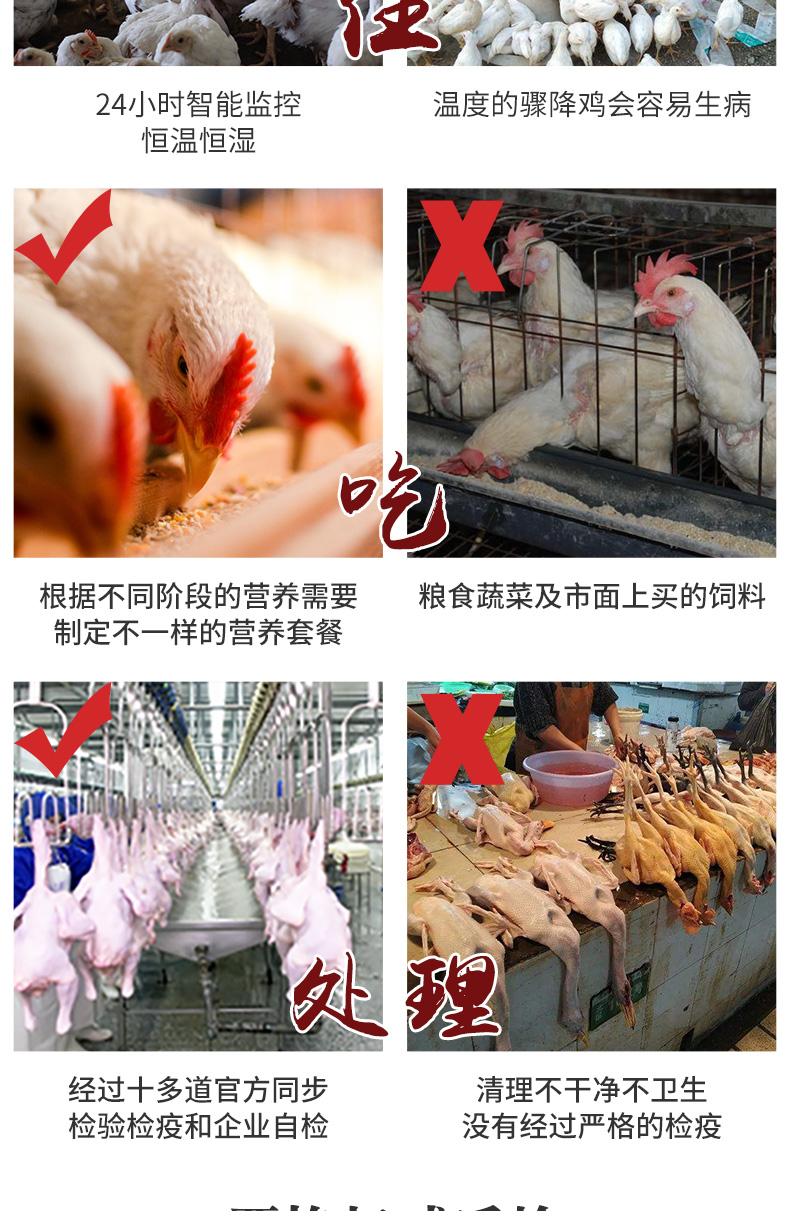 国家重点企业 大用 农家散养走地鸡 670g*4只 图11