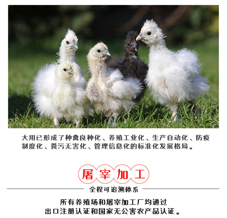 大用好味道 农家散养白凤乌骨鸡1000g*2只 图3