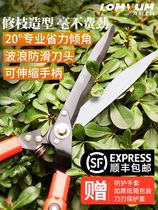 German industrial garden tools fence shears pruning big scissors lawn pruning shears gardening flowers Japan