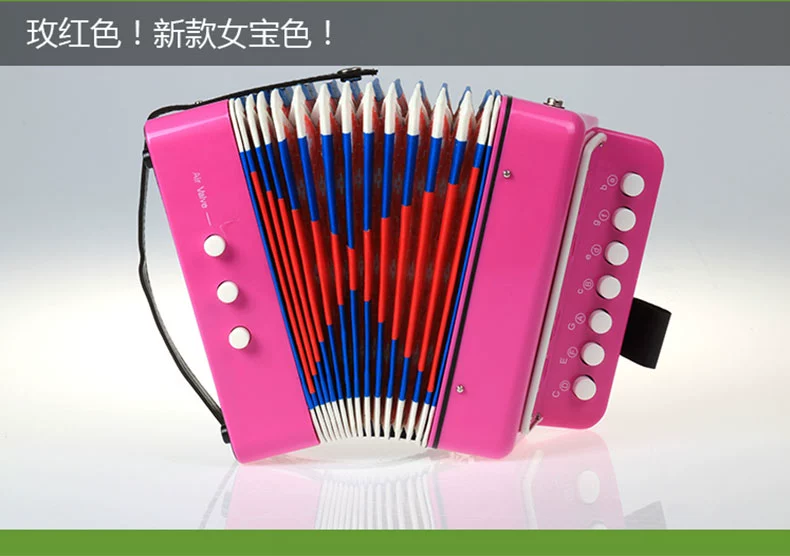 Trẻ em Accordion Đồ chơi Nhạc cụ 3-6 Người mới bắt đầu Âm nhạc Học sớm Câu đố Con gái Quà tặng Hướng dẫn