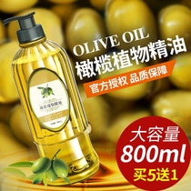 Beauty salon 800ml olive oil skin care hair care Essential oil female massage full body face Face body emollient scraping