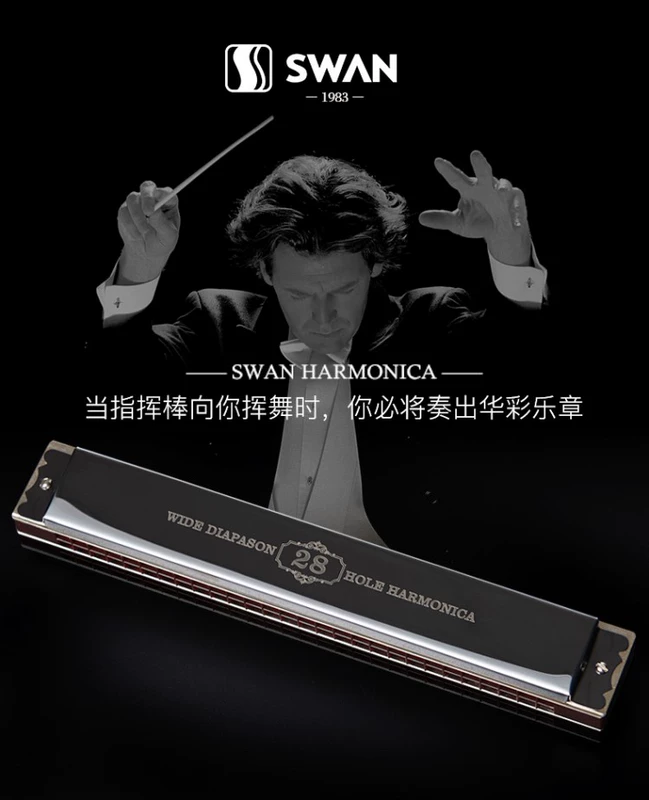 Swan Harmonica dành cho người lớn chuyên nghiệp nam và nữ 28 lỗ đa âm nhấn chơi giai điệu piano giai điệu mới bắt đầu nhạc cụ tiên tiến - Nhạc cụ phương Tây