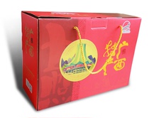 Guangxi specialty gift box Lemon duck wing black sugar passion fruit dried osmanthus cake snail powder New Year Goods