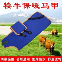 Step up waterproof and cold-proof calf horse chia jacket cow calf warm and warm insulation horse-clamp clothes add suede coat calf instruments