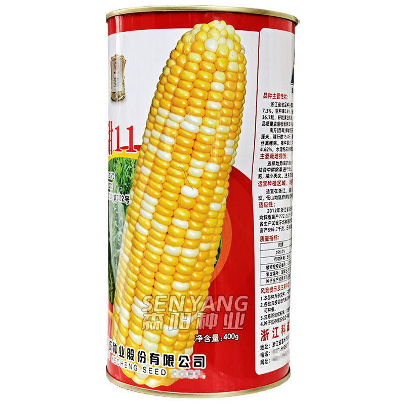 2026年浙甜11玉米种子种植攻略，鲜食双色甜玉米如何选种育苗？