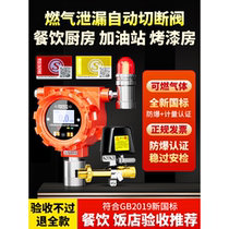 Gas leak alarm gas catering combustible gas detection alarm device hotel commercial liquefied natural gas