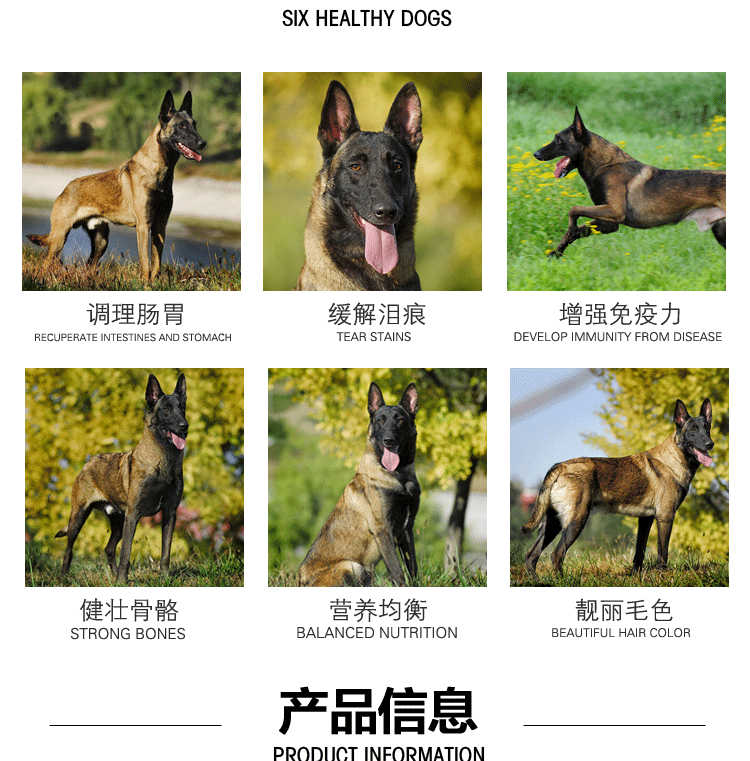Thức ăn cho chó chó chó Bỉ Chó chăn cừu 20kg chó con chó trưởng thành chuyên dụng 3-6 tháng 40 kg thức ăn tự nhiên phổ biến cho chó - Chó Staples thức ăn cho chó giá rẻ