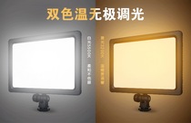 Mettle-VPAD112 micro single SLR camera light outside shoot LED fill light photography light wedding news Light