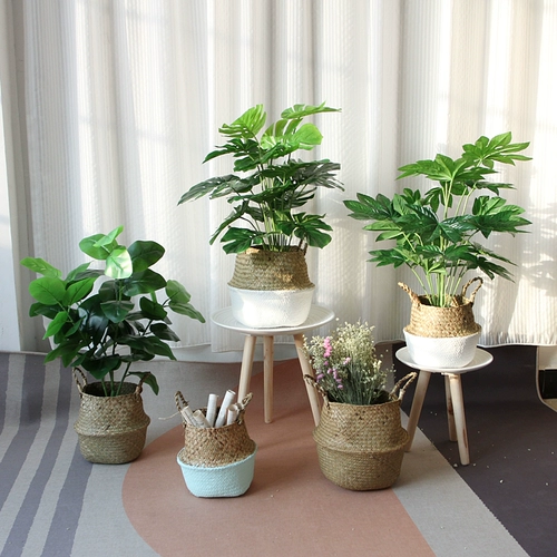 Nordic ins Wind Sea Cao Плетение цветочной корзины творческая баскетбольная баскетбольная баскетбольная баскетбольная пианино -листья Banyan Basket