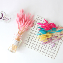 Pink rabbit tail grass dry flower Net Red Girl Heart Bouquet hipster natural dog tail grass eternal flower DIY material