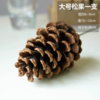 Большой сосновый фрукт