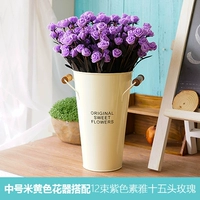 Sino -rice желтый +12 фиолетовые семена Элегантная роза