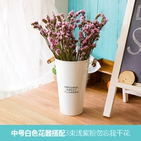 Середина -белый +3 светло -пурпурный порошок, не забывайте меня