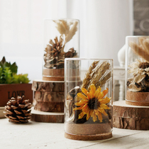 Pastoral style Cork glass cover dried flower ornaments creative transparent glass home accessories desktop ornaments