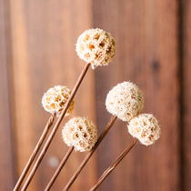 2018 New Years festive good meaning Fortune Road dried flower arrangement natural dried fruit living room decoration flower