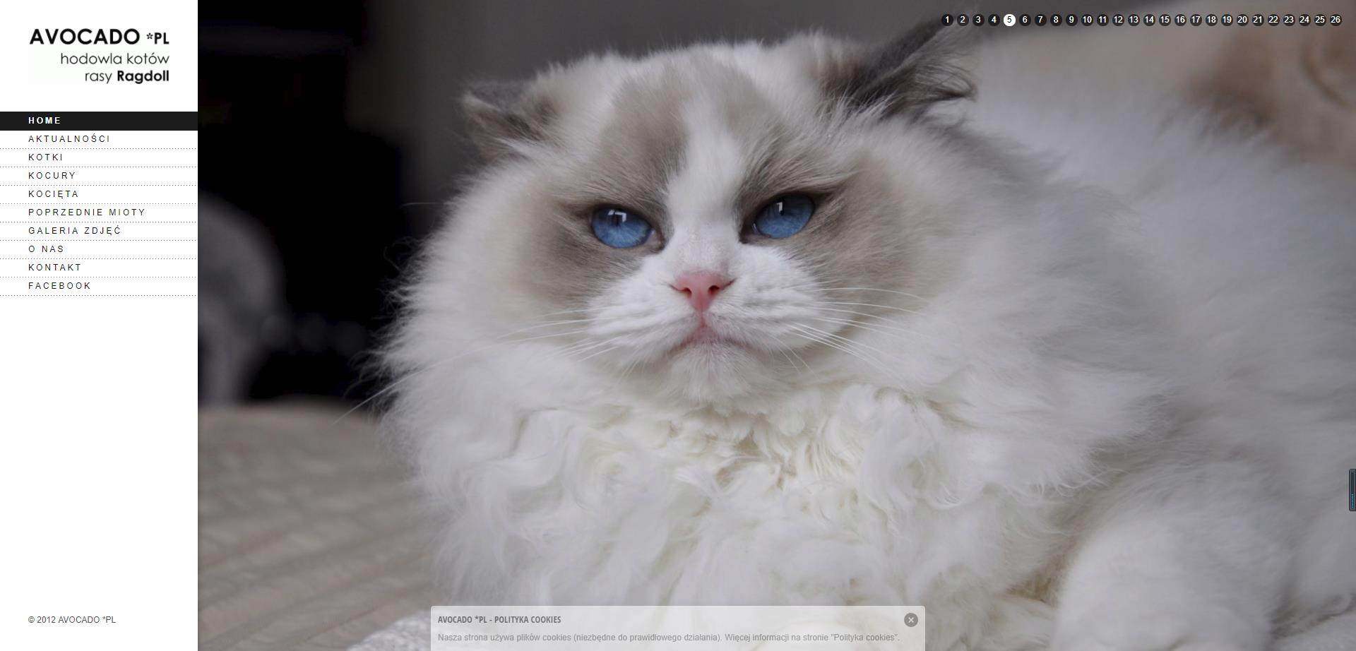 [USD 18.66] TICA blood certificate TICA cat certificate TICA