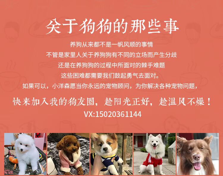 Xiao Yangsen thịt cá tươi tự nhiên thức ăn cho chó Jin Mao Demu Ara bắt nạt đấu bò Samoyed chó lớn tự chế - Gói Singular thức ăn cho cún