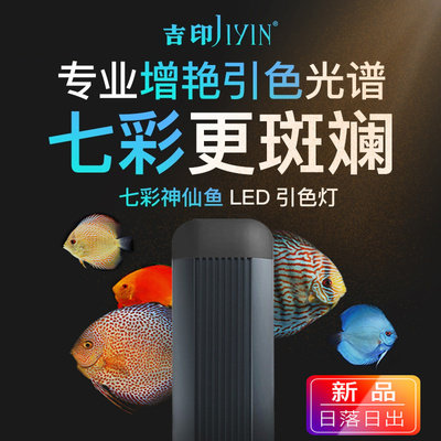 Jiyin Arhat Colorful angelfish special led fish tank light Waterproof Son of Heaven blue Dove aquarium diving light