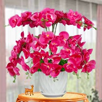 () Butterfly Orchid Fake Flower Simulation Flower Living Room Restaurant Swing Piece Tulip Potted Home Indoor TV Cabinet