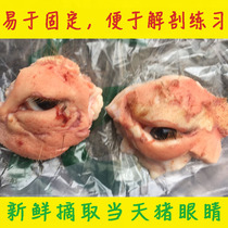 (With eyelid pig eyes pig eyelid tissue is intact) Take 10 special medical surgery experiments