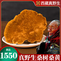 (2 catty of 2 pieces) Tibetan wild mulberry yellow mulberry yellow powder mulberry yellow tea Tibetan Sanhuang 500g clothes