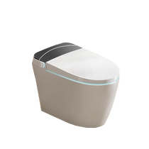 Huida Sanitary Ware Smart Toilet Home Small Household No Water Pressure Limitation Integrated Toilet Antibacterial Seat 1145