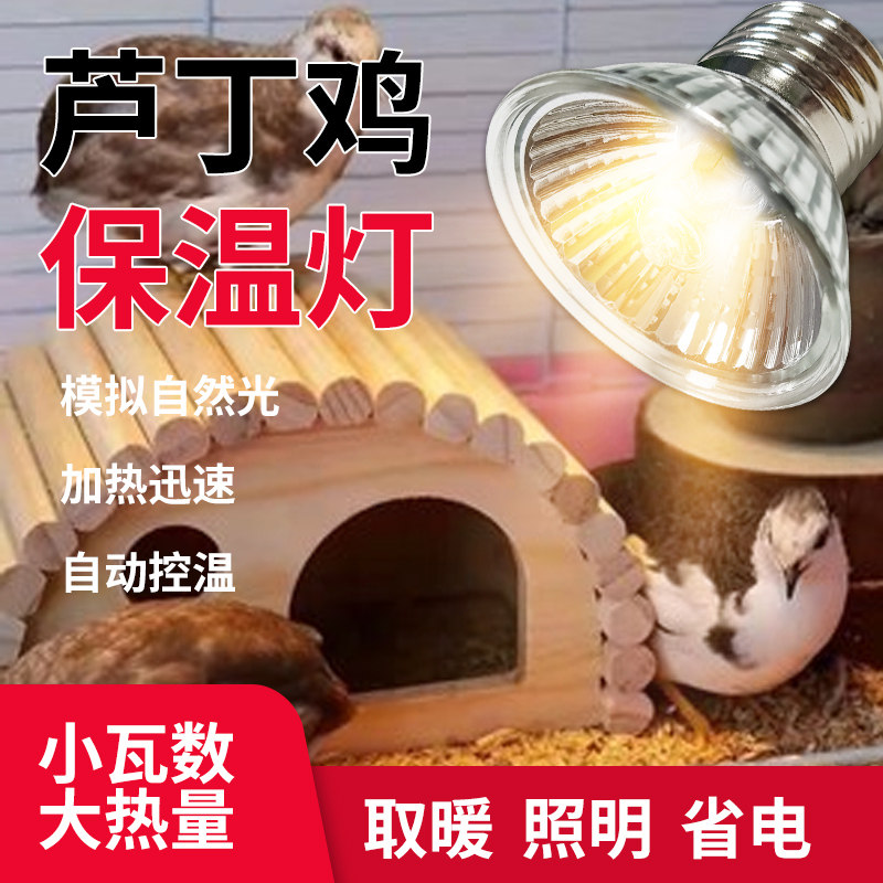 芦丁鸡保温灯小鸡育雏取暖灯宠物爬宠鹦鹉保暖灯泡温控器加热灯泡