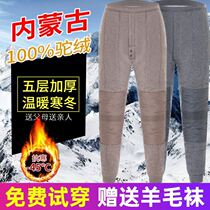 Camel Cotton Pants Men Winter Plus Suede Thickening Woman High Waist Large Size Loose Middle Aged Seniors Warm Wool Pants Northeast