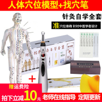 Traditional Chinese Medicine Meridian Acupuncture Acupoint Model Whole Body Small Person Can Zacumen Practice Skin Teaching Human Figure Copper person large number