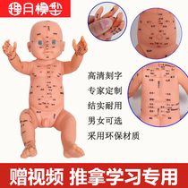 Pediatric Pushback Acupoint Picture Baby Model Doll With Acupoint Children Teaching Massage With Body Acupoint Whole Body
