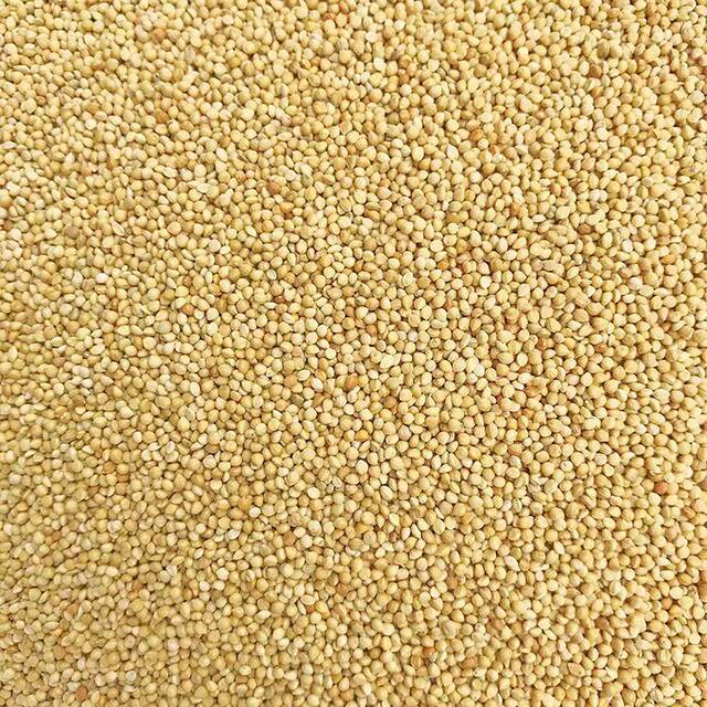 ອາຫານນົກ Universal ກັບແກະ millet ໃຫມ່ສີເຫຼືອງ millet tiger skin peony parrot ຂະຫນາດນ້ອຍແລະຂະຫນາດກາງອາຫານນົກອາຫານນົກອາຫານນົກ