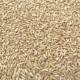 Oats, ເຂົ້າ, ອາຫານນົກ, brome, wheat ປ່າທໍາມະຊາດ, oats, ຜິວຫນັງເສືອ, peony, ອາຫານນົກລົມສີດໍາ, ອາຫານກາງແກ, ສົ່ງຟຣີ