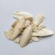 New arrival cuttlefish bone 500g sea mango octopus tiger skin parrot turtle squirrel calcium supplement cuttlefish bone powder one pound