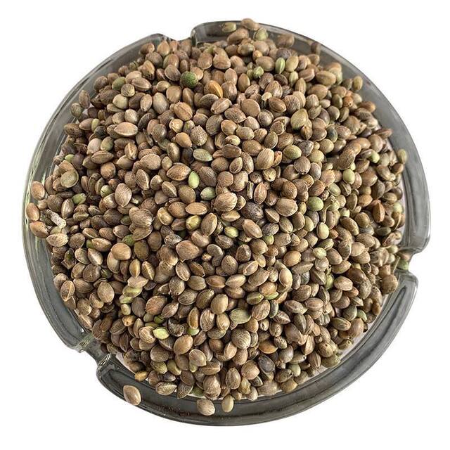 ອາຫານນົກ Parrot, ເມັດ hemp, ອາຫານຫວ່າງນົກນ້ອຍ, phoenix ສີດໍາ, ພຣະສົງ, myna, ຜິວຫນັງເສືອ, ອາຫານນົກ, pigeons