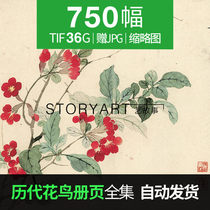 Chinese painting flowers and birds album page HD pictures of past dynasties ink and painting material 750 36g