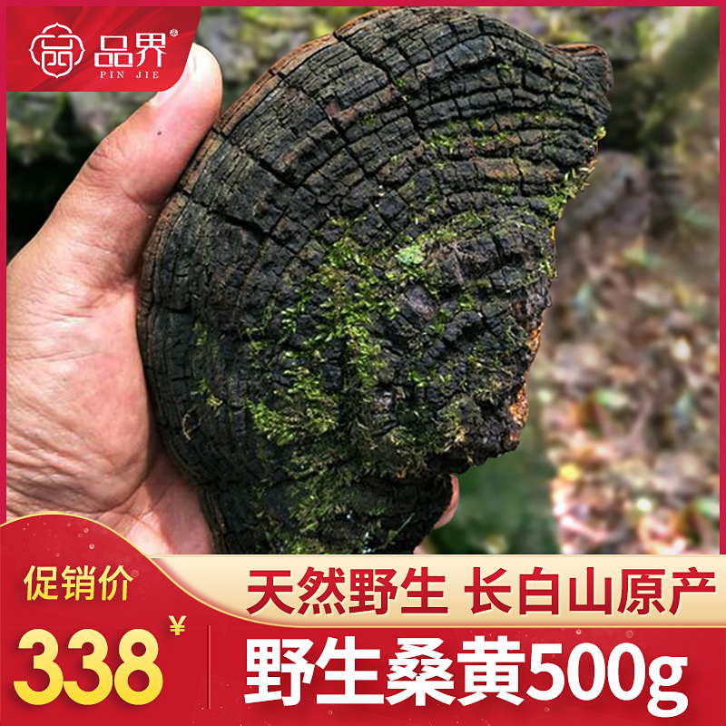 (1 catty)Changbai Mountain Wild Mulberry Yellow 500g Wild Mulberry Yellow Ganoderma Lucidum Tree Wild Ganoderma Lucidum 500g