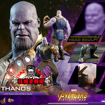 (Crazy model Holy Dance Pavilion) HotToys HT MMS479 complex 3 Infinite War annihilation new spot