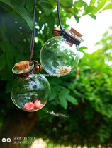 Creative diy car carrying glass ball perfume empty bottle pendant transparent glass bottle simple small clear jewelry accessories